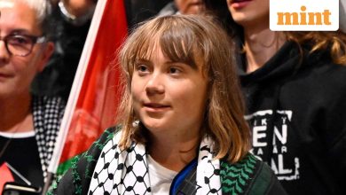 Greta Thunberg kept in an infected cell? Israel is facing ‘hard treatment’ raises in the face – what we know