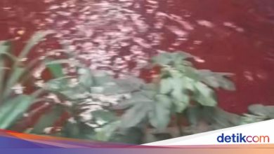 Red water in Serpong is red, South Tangeran city government checks the cause