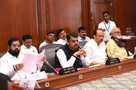 No Clan certificate is issued on the basis of defective documents: CM Devendra Fadnavis