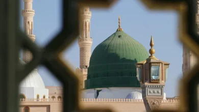 المدينة المنورة في الصدارة، بأعلى معدلات إشغال لمرافق الضيافة والسياحة