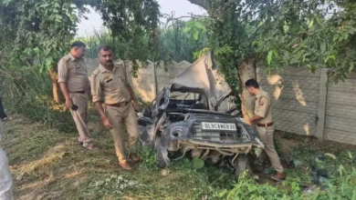 A high velocity car in lake uncontrolled and the tree, hit the driver’s death; The condition of two including a woman is critical – Meerut News Alto car accident makes the driver injure two