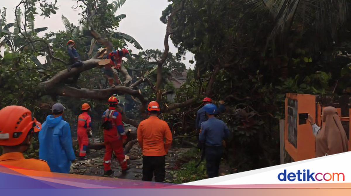 41 houses and schools in bogor damaged by strong winds