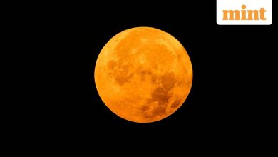 October Harvest Moon: When is supermoon? How to watch the first one for 2025? NASA reveals date, time