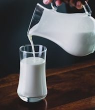 These ten countries are at the forefront of the annual consumption of milk!