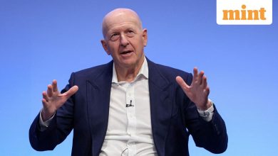 David Solomon says markets to see ‘withdrawal’ in the next 1-2 years after AI tree