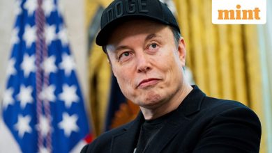 Elon Musk Announces Grokipedia Beta Version 0.1: 5 Key Things You Should Expect from Wikipedia Alternative