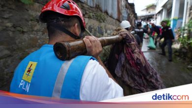 Pln and klh clean the ciliwung tie, 176 kg of 2500 trees