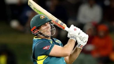 Kiwi flew into Marsh’s storm, winning captain by becoming a forest man army
