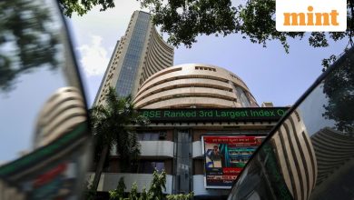 The French frying pan-hipun Foods Eyes IPO by 2028 is aimed at the income of 1,500 crore in this fiscal: report