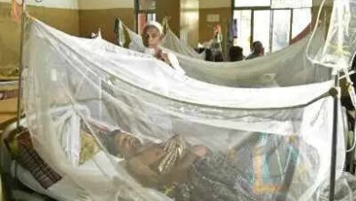 Dengue devastation in Bangladesh, another 9 more people died within 24 hours
