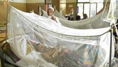 Dengue devastation in Bangladesh, another 9 more people died within 24 hours