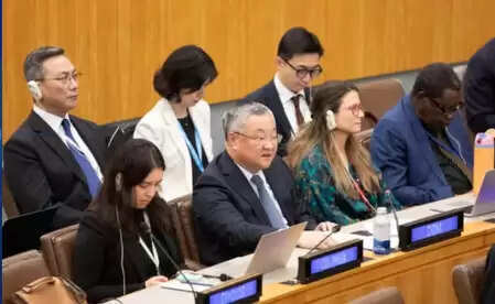 Chinese call to combat unilateral forced measures from the international community