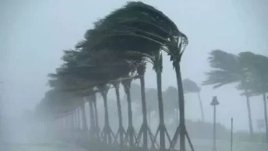 Western disorders active in Haryana, strong rain with thunderstorms in 4 districts, including Hisar; Read the latest weather update – Western disorder active in Haryana -heavy rainfall by dundstorms in 4 districts including