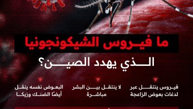 الصين تواجه تفشي فيروس ينقله البعوض ويهدد ملايين السكان. تعرف على قصته واكتشف كيف يتحول المرض…