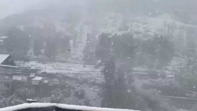 Himachal Pradesh: Lahaul Valley wrapped in white sheets with the first snowfall of the season, Mercury reaches below zero