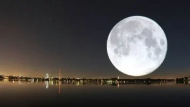 فلكية جدة: أول قمر عملاق في 2025 يضيء سماء المملكة والعالم العربي الليلة
