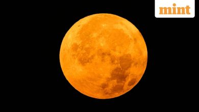 Will New Yorkers be able to see the harvest moon on October 6? Great weather -update you need to know