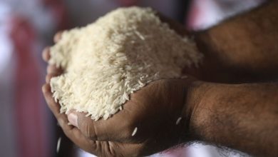 The largest importer of rice in the world. The Philippines plans to expand the import ban