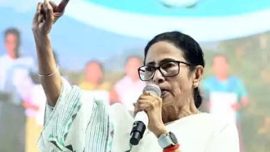 The law must do its work in any democracy: Mamta Banerjee