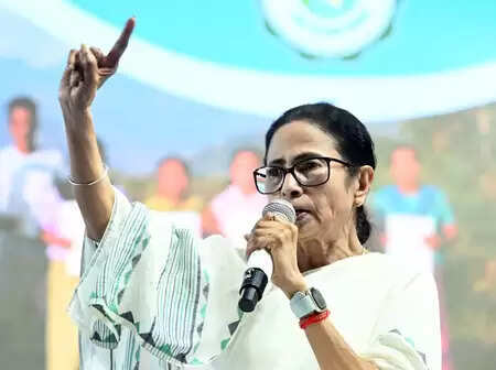 The law must do its work in any democracy: Mamta Banerjee