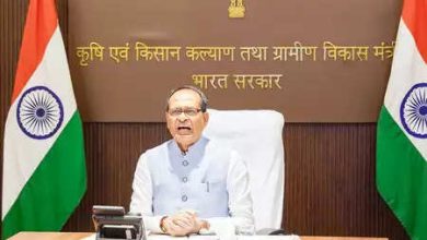 Shivraj Singh Chauhan, an outbreak of tikari disease on pomegranate crops in Rajasthan, gave instructions for immediate examination