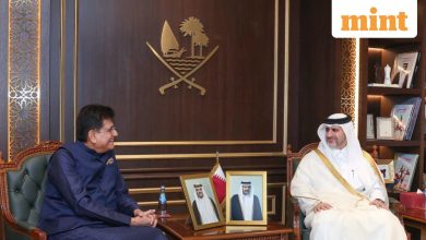 India, Qatar aims to double bilateral trade by 2030: Piyush Goyal