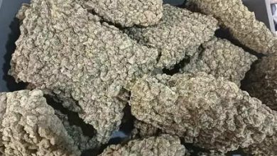 Mumbai: Customs’ great action, smuggler arrested with drugs worth Rs 5.8 crore