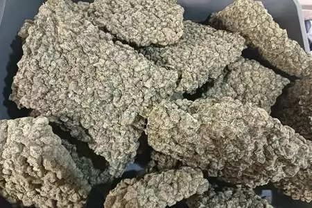 Mumbai: Customs’ great action, smuggler arrested with drugs worth Rs 5.8 crore
