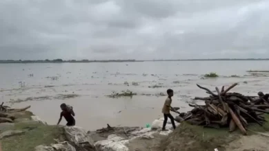 Kosi -River above the danger mark in Khagaria, Alert Control Department -Khagaria News Kosi -River issued dangerous flood warning
