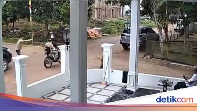 The man in Oki South Sumatra was shot dead by his friend during his wife