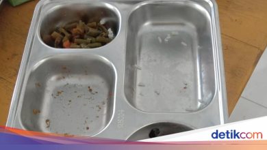 There is a rotten Salak in the free Nutrition Menu for SDN Oi Mara NTB