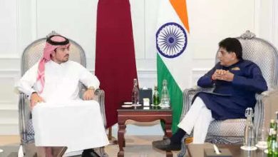 Piyush Goyal -meeting with the chairman of the MHM group Sheikh Mansoor Al Thani