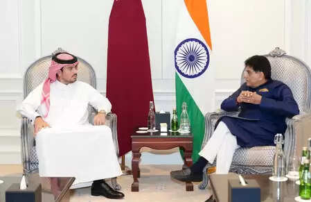 Piyush Goyal -meeting with the chairman of the MHM group Sheikh Mansoor Al Thani
