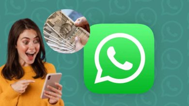 Earn! These 5 Dhansu WhatsApp tricks will lose the bumper month, know how?