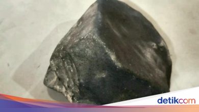 The stone is suspected that the meteor fell into the garden of the inhabitants of Tegal, that is the form