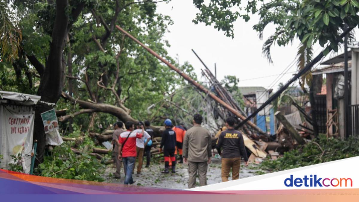 Advertising and fallen trees in Tangel hit by strong wind