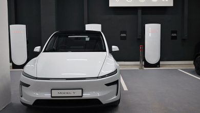 Tesla launches cheaper versions of Model Y and Model 3, which are immediately available for orders – here’s how much it will cost
