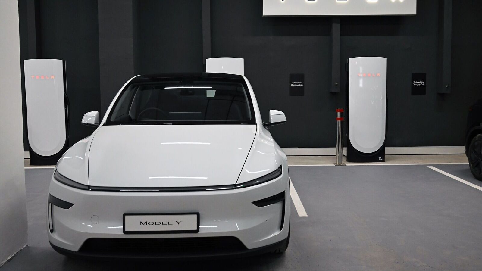 Tesla launches cheaper versions of Model Y and Model 3, which are immediately available for orders – here’s how much it will cost