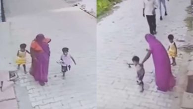 Mother of this particular species will only be found in India. Viral video reminded thousands of users