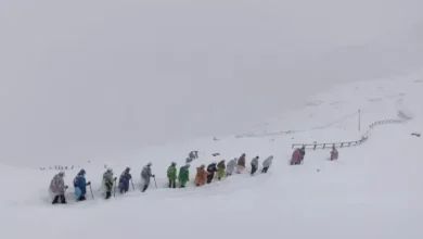HEMUN SAHIB YATRA: Land Shipment Warning in Chamoli, Pilgrims who were not sent to Hemund Sahib and Valley or Flowers – Chamoli Land Forcing Hemkun Sahib Yatra Suspended Pilgrims Stranded Pilgrims Stranded Pilgrims Stranded Pilgrims