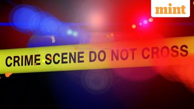 “I did something bad, go to your room”: blood door our teen tells sister after beheading mother’s boyfriend