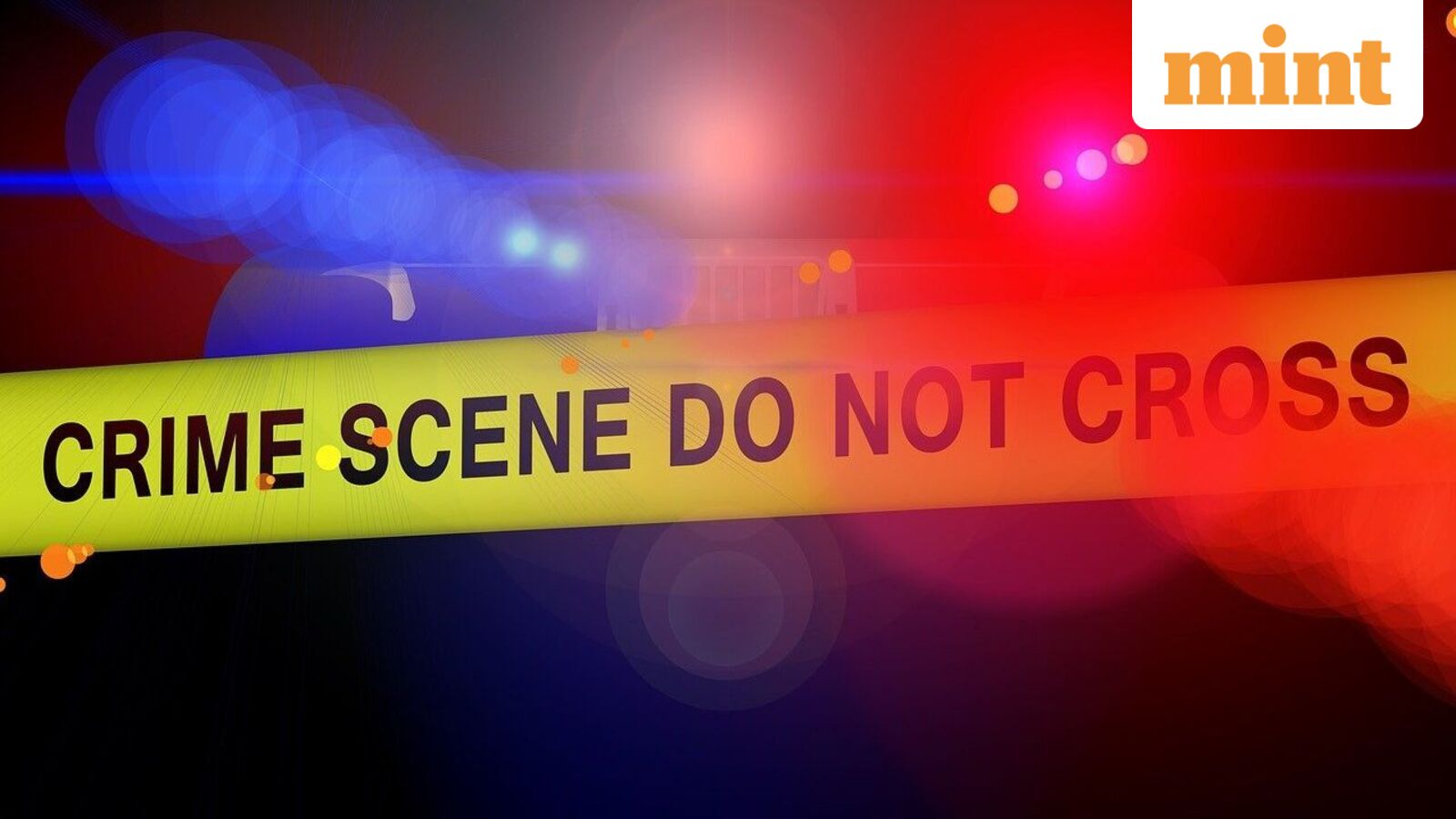 “I did something bad, go to your room”: blood door our teen tells sister after beheading mother’s boyfriend
