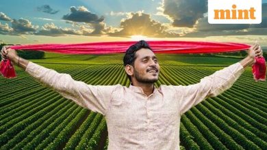 Advance Agrolife IPO listing date Today: Here’s what GMP, experts on the share debut in Dalal Street