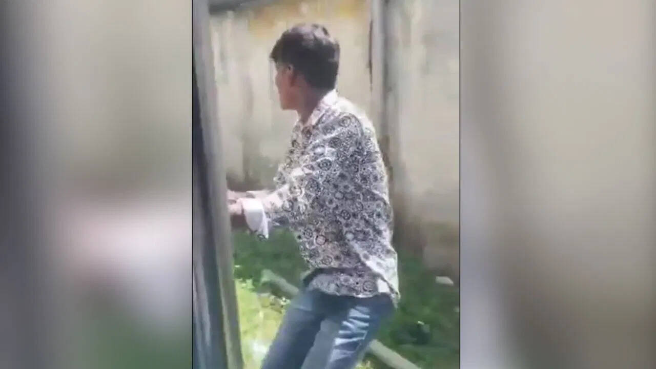 “The pulley is cut, the misery is cut …” The scalp of the boy in the train opened as soon as it clashed with the pillar, the eyes would be torn by looking at the viral video
