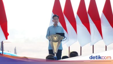 Vice President leads simultaneous wheat planting in the fourth quarter, and national police commit itself to the support of self -sufficiency of food