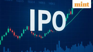 Canara Robeco IPO: 10 key risks you need to know about before investing in a £ 1.326 crore edition