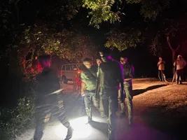 Cub caught to Tiger and Tigress in Sitapur area sealed