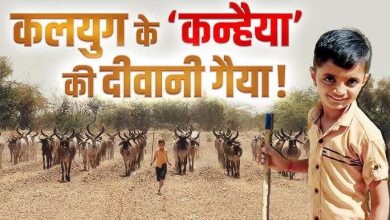 Gaia went crazy about Kanhaiya of Kalyug, everyone gets enchanting after watching this extraordinary video of an ordinary boy.