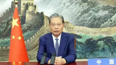Chao Leji gave a speech at the meeting of the parliamentary leaders of member states