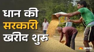 What is the latest update on Paddy purchases in UP? Pace slowly, even after raising msp – slow purchases from Geerst and paddy in Bahjoi 135 quintal van Gierst acquired